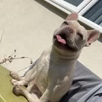 Josh Grainger - @joshgrainger023 - Instagram