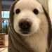 Joshua Hemedez - Facebook