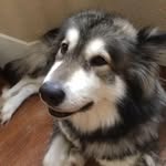 Joshua Hight - @joshua.hight.73 - Instagram