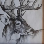 Joshua Howells - @howells.outdoors - Instagram