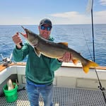 Josh Husted - @josh.husteddcmustangs.com_ - Instagram