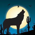 Joshua Husted - @howling_coyote_ - Instagram