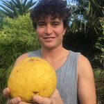 Joshua Jaques - @ling_kizzard - Instagram