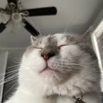 Joshua Karas - Facebook