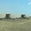 joshuamckellar8 - @joshua.mckellar0 - TikTok