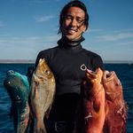 Joshua Ku - @kueysharvest - Instagram