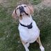 Joshua Lapierre - Facebook