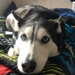 Joshua Leake - @baseball_master09 - Instagram