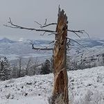 Joshua Leech - @leech.joshua - Instagram