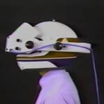 Joshua Levi - @joshualevi - Instagram