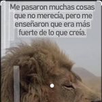 Joshua Limón - @joshualimon87 - Instagram