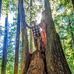 Josh Lindquist - Facebook