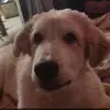 joshualindquist6 - @joshualindquist6 - TikTok