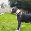 Joshua macfarlane - @joshmac48 - TikTok