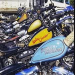 Joshua Mackinnon - @rideordie_1995 - Instagram