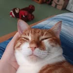 Joshua Mannon - @joshua.mannon.140 - Instagram