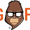 Josh McAfee - @virtualgorilla - TikTok