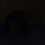 Joshua Mccafferty - @joshuamccafferty - Instagram