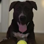 Josh McElfresh - Facebook