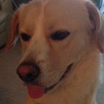 Josh Meltzer - @oot_oot23 - Instagram