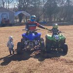 Josh Meltzer - @instajoshmeltzagram - Instagram