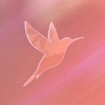 Joshua Meltzer - @joshuameltzer1 - Instagram