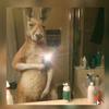 Maiben sad - @joshua.miley - TikTok