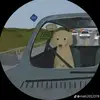 Joshua Moises garcía santos - @joshua.moises.gar4 - TikTok
