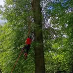 Joshua Manis - Facebook