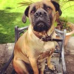 Joshua Napper - @joshua_napper11 - Instagram