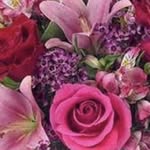 @joshua._.nickleson - Instagram