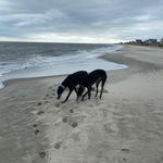 Joshua Osterhout - @joshuaosterhout - Instagram