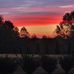 Josh Overman - Facebook
