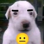 Joshua Pech - Facebook