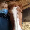 Joshi and Horse - @joshuapeer007 - TikTok