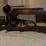 Joshua Peterman - @joshua_peterman8438 - Instagram