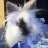 Joshua Peterman   - @ashthebunny - TikTok