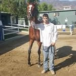 josh - @joshuapitzer2018 - Instagram