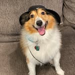 Joshua Pitzer - @joshua.pitzer - Instagram