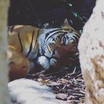 Joshua Schaaf - @jschaaf13 - Instagram