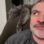 Josh Seiber - @seiberjosh - Instagram