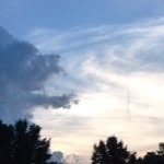 Joshua Seibert - @joshuaseibert37 - Instagram