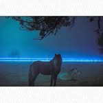 Joshua Seibert - @joshuaf_seibert - Instagram