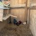 Josh Silcox - Facebook