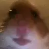 joshuasimcox62 - @joshuasimcox2 - TikTok