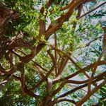 Joshua Simonsen - @film_by_the_foot - Instagram
