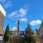 Joshua Singleton - @josh_s_23 - Instagram