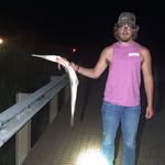 Joshua Singleton - @singletonjoshua280 - Instagram