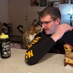 Joshua Stanton - @joshua.stanton02 - Instagram