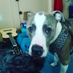 Joshua Stclair - @stclair.joshua - Instagram